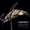 Honeyroot: Sound Echo Location